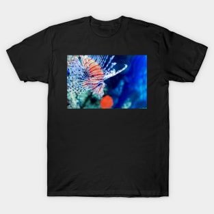 Red lionfish or zebrafish underwater T-Shirt
